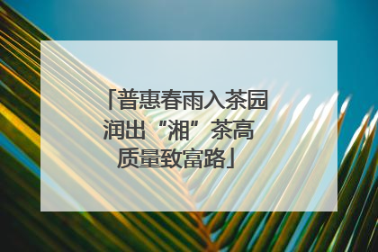 普惠春雨入茶园 润出“湘”茶高质量致富路