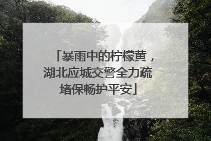 暴雨中的柠檬黄，湖北应城交警全力疏堵保畅护平安