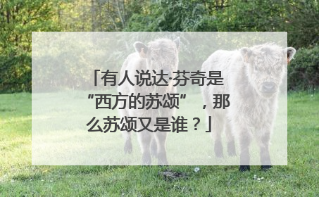 有人说达·芬奇是“西方的苏颂”，那么苏颂又是谁？