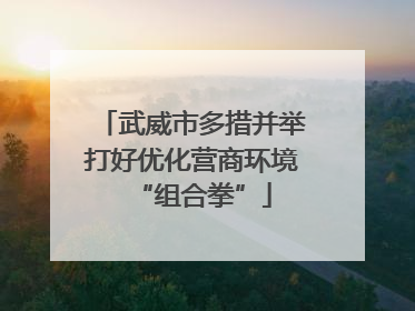 武威市多措并举打好优化营商环境“组合拳”