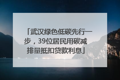 武汉绿色低碳先行一步，39位居民用碳减排量抵扣贷款利息
