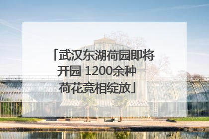 武汉东湖荷园即将开园 1200余种荷花竞相绽放