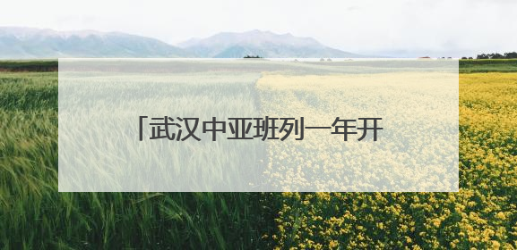 武汉中亚班列一年开行量同比增长72%