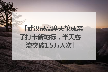 武汉最高摩天轮成亲子打卡新地标，半天客流突破1.5万人次