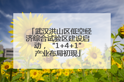 武汉洪山区低空经济综合试验区建设启动，“1+4+1”产业布局初现
