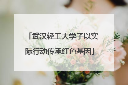 武汉轻工大学子以实际行动传承红色基因