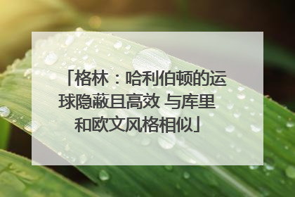格林：哈利伯顿的运球隐蔽且高效 与库里和欧文风格相似
