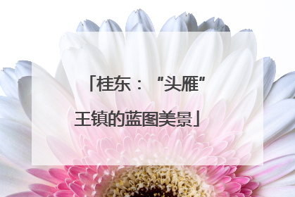 桂东：“头雁”王镇的蓝图美景