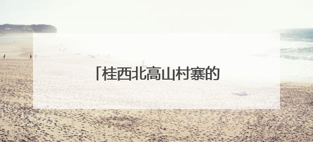 桂西北高山村寨的“云端”致富路