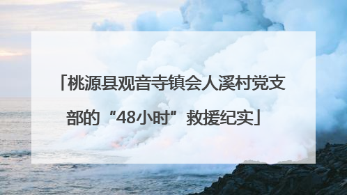 桃源县观音寺镇会人溪村党支部的“48小时”救援纪实
