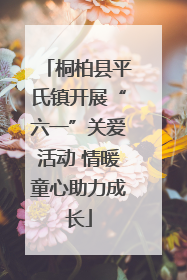 桐柏县平氏镇开展“六一”关爱活动 情暖童心助力成长