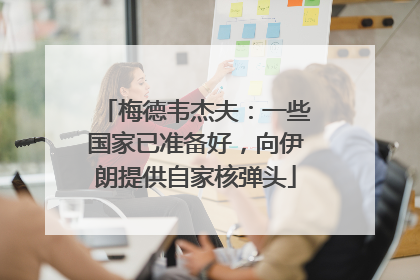 梅德韦杰夫：一些国家已准备好，向伊朗提供自家核弹头