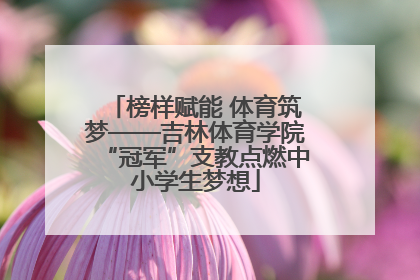 榜样赋能 体育筑梦——吉林体育学院“冠军”支教点燃中小学生梦想