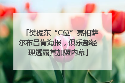 樊振东“C位”亮相萨尔布吕肯海报，俱乐部经理透露其加盟内幕
