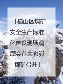 横山区煤矿安全生产标准化建设现场观摩会在朱家峁煤矿召开
