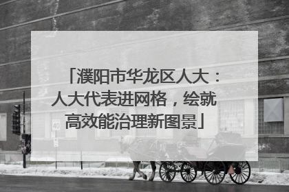 濮阳市华龙区人大：人大代表进网格，绘就高效能治理新图景