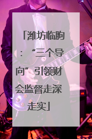 潍坊临朐：“三个导向”引领财会监督走深走实