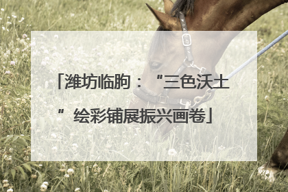 潍坊临朐：“三色沃土”绘彩铺展振兴画卷