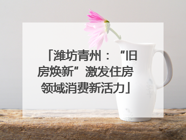 潍坊青州：“旧房焕新”激发住房领域消费新活力