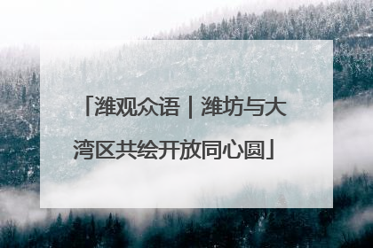 潍观众语｜潍坊与大湾区共绘开放同心圆