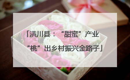 潢川县：“甜蜜”产业  “桃”出乡村振兴金路子