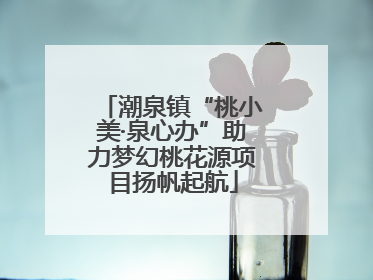 潮泉镇“桃小美·泉心办”助力梦幻桃花源项目扬帆起航