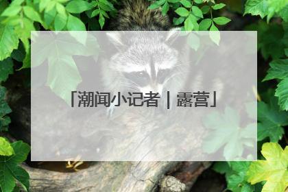 潮闻小记者｜露营