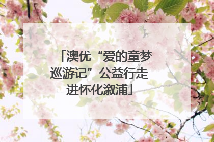 澳优“爱的童梦巡游记”公益行走进怀化溆浦