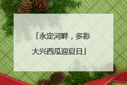 永定河畔，多彩大兴西瓜迎夏日