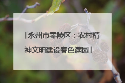永州市零陵区：农村精神文明建设春色满园