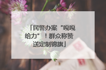 民警办案“嘎嘎给力”！群众称赞送定制锦旗