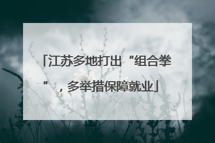 江苏多地打出“组合拳”，多举措保障就业