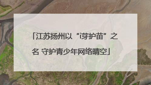 江苏扬州以“i芽护苗”之名 守护青少年网络晴空