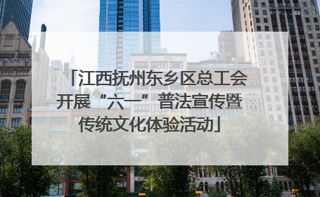 江西抚州东乡区总工会开展“六一”普法宣传暨传统文化体验活动