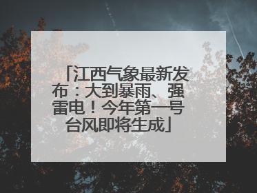 江西气象最新发布：大到暴雨、强雷电！今年第一号台风即将生成