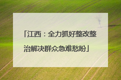 江西：全力抓好整改整治解决群众急难愁盼
