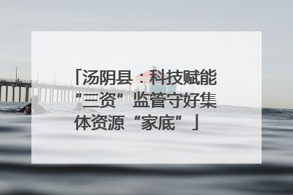 汤阴县：科技赋能“三资”监管守好集体资源“家底”