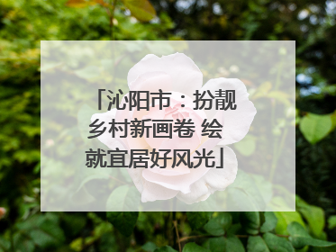 沁阳市：扮靓乡村新画卷 绘就宜居好风光
