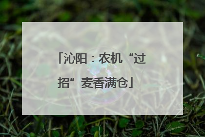 沁阳：农机“过招”麦香满仓