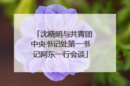沈晓明与共青团中央书记处第一书记阿东一行会谈