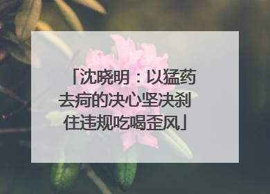 沈晓明：以猛药去疴的决心坚决刹住违规吃喝歪风