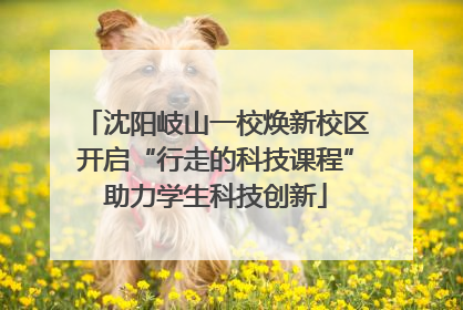 沈阳岐山一校焕新校区开启“行走的科技课程”助力学生科技创新
