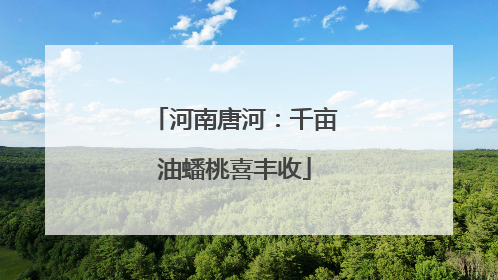 河南唐河：千亩油蟠桃喜丰收