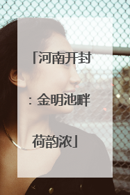 河南开封：金明池畔荷韵浓