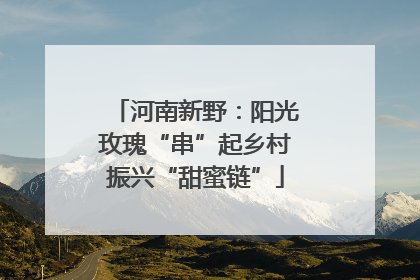 河南新野：阳光玫瑰“串”起乡村振兴“甜蜜链”