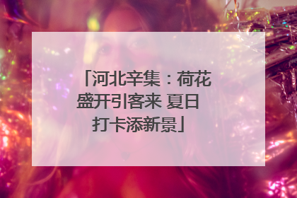 河北辛集：荷花盛开引客来 夏日打卡添新景