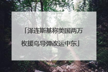 泽连斯基称美国两万枚援乌导弹改运中东