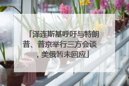 泽连斯基呼吁与特朗普、普京举行三方会谈，美俄暂未回应
