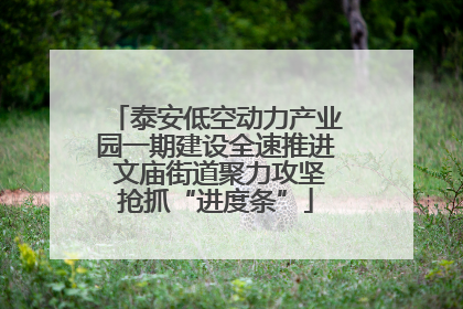 泰安低空动力产业园一期建设全速推进 文庙街道聚力攻坚抢抓“进度条”