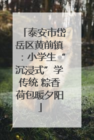 泰安市岱岳区黄前镇：小学生“沉浸式”学传统 粽香荷包暖夕阳